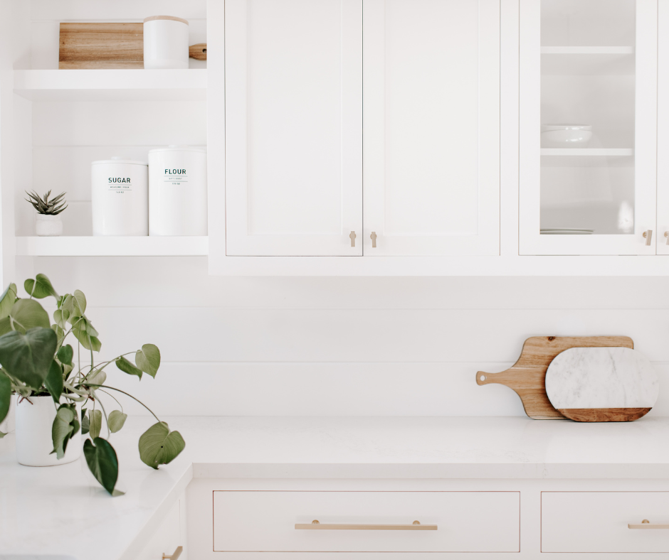 Pest Control Tips for San Antonio Homeowners and Residents